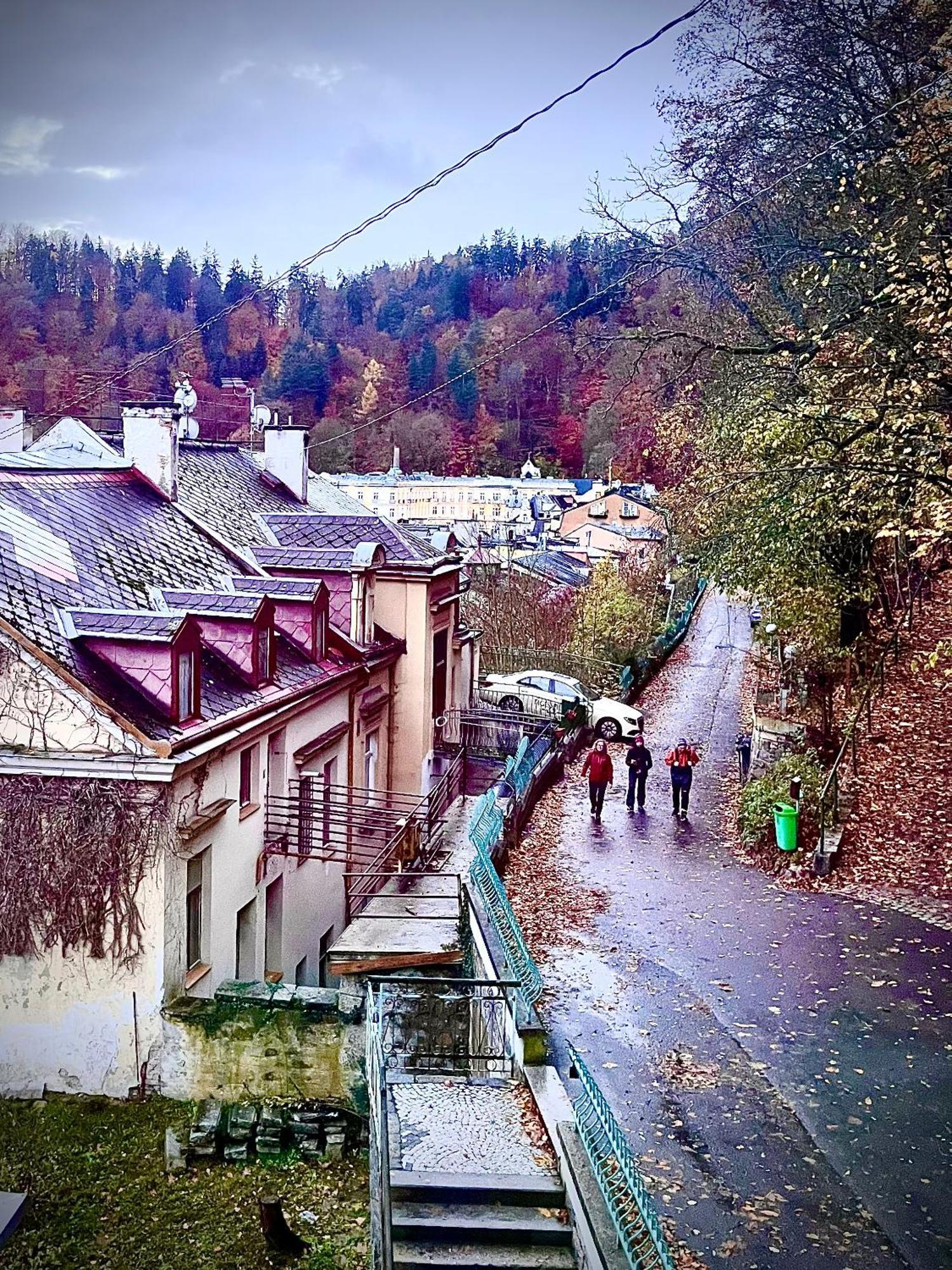 Bohemian City - Amazing View, Garage Карлови Вари Екстериор снимка